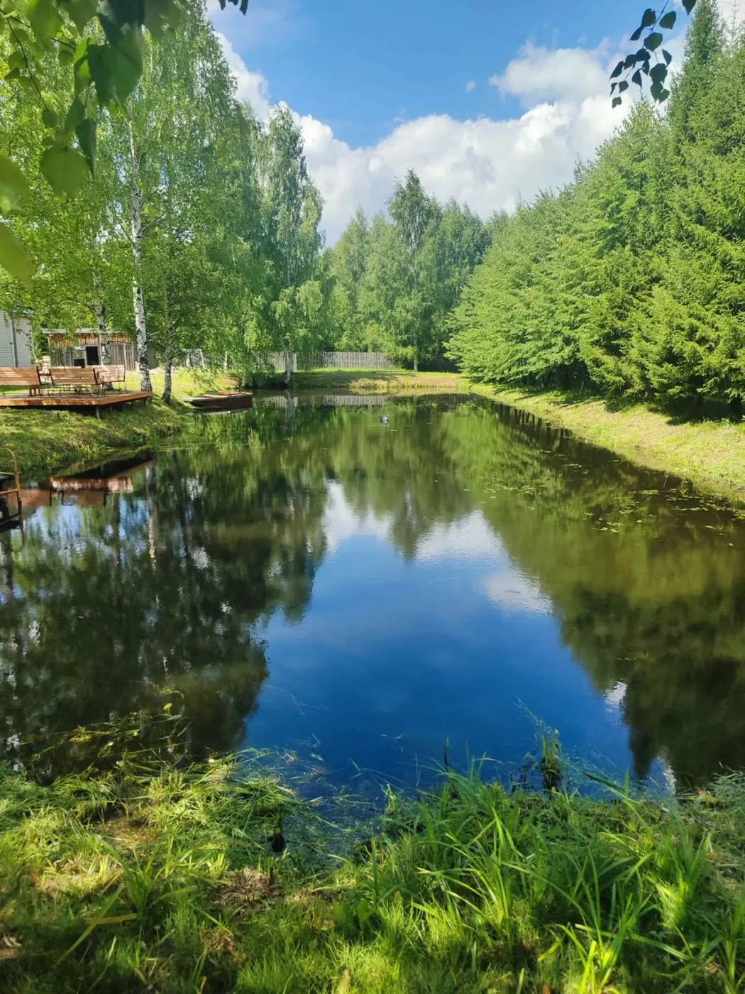 Живописный пруд на территории гостиничного комплекса Водолей летом